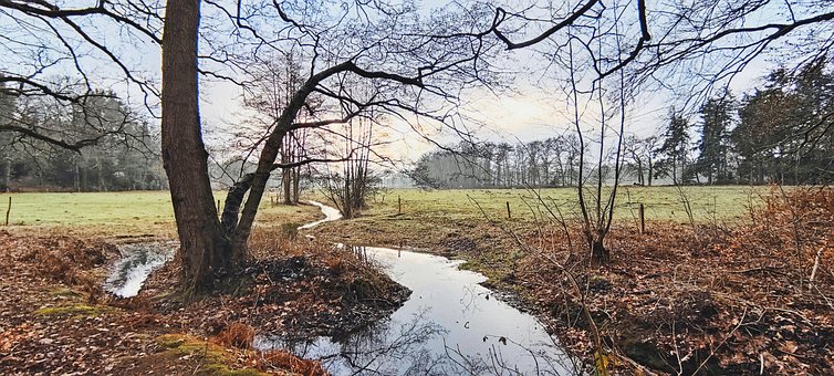 Free Stream Valley Veluwe photo and picture