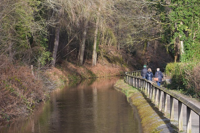 Free Llangollen Canal photo and picture