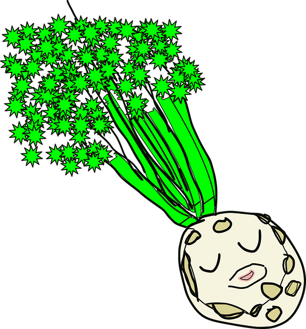 Vegetal, Apio, Comida, Dibujo, Bosquejo