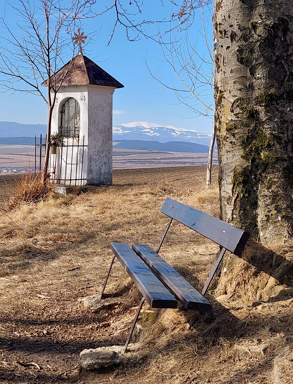 Chapel Bench Trees - Free photo on Pixabay - Pixabay