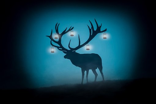 Free Deer Antlers photo and picture