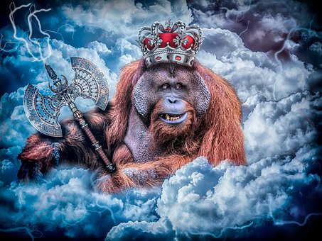 Free Orangutan Ape illustration and picture