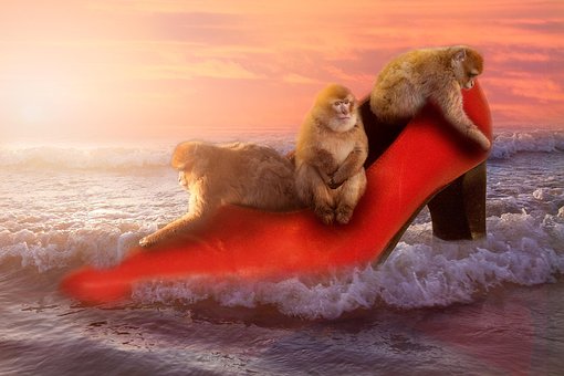 Free Photoshop Manupilatie Aap photo and picture