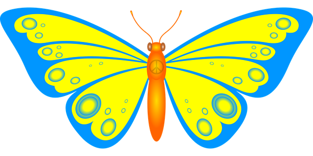 Free butterfly wing insect vector