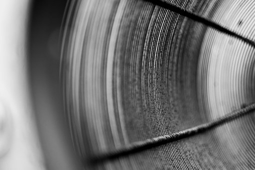 Free Lantern Monochrome photo and picture