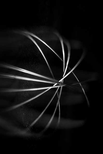 Free Kitchen Whisk photo and picture