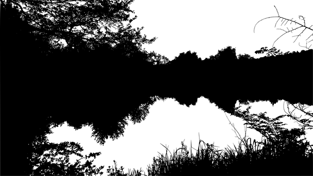 Free forest lake silhouette vector