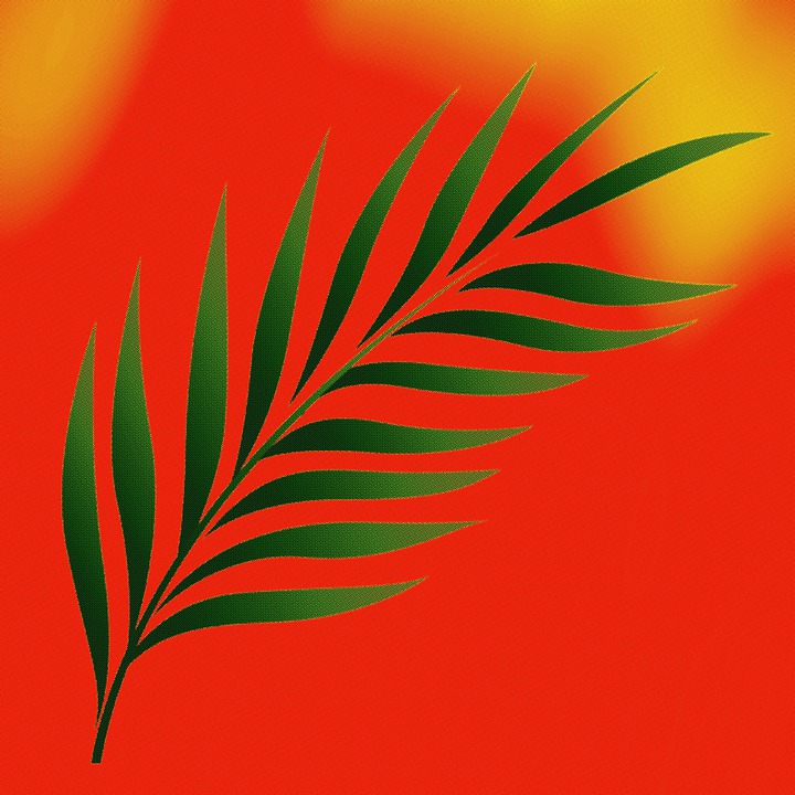 Download Palm Sunday, Palm Leaves, Christianity. RoyaltyFree Stock
