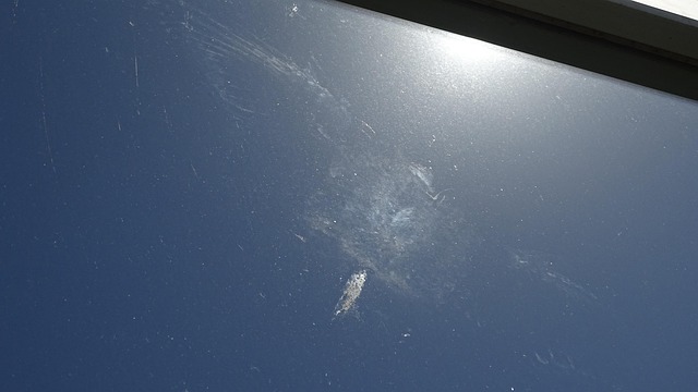 Window Collision Window Collision 野 - Pixabayの無料写真 - Pixabay
