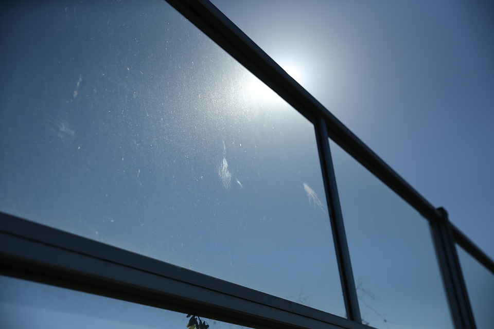 Window Collision Window Collision 野 - Pixabayの無料写真 - Pixabay