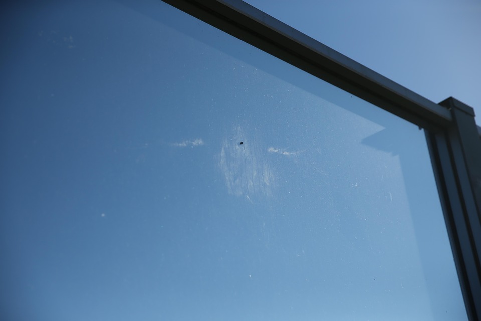 Window Collision Window Collision 野 - Pixabayの無料写真 - Pixabay