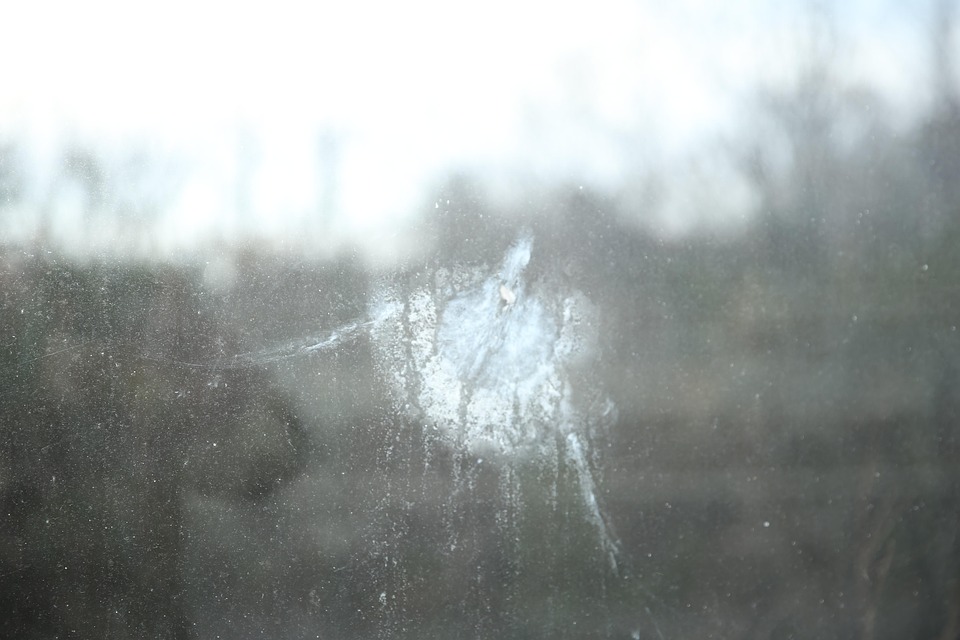 Window Collision Window Collision 野 - Pixabayの無料写真 - Pixabay