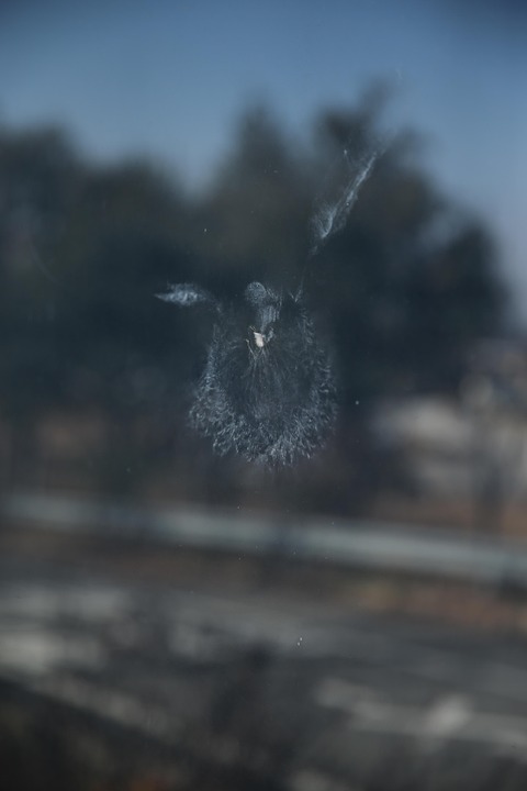 Window Collision Window Collision 野 - Pixabayの無料写真 - Pixabay