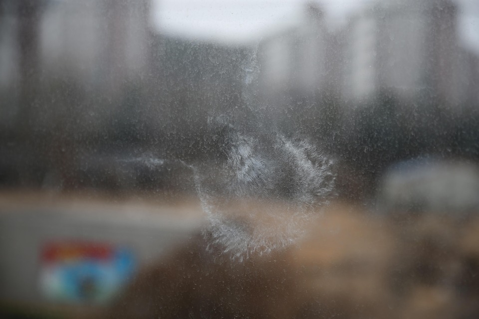 Window Collision Window Collision 野 - Pixabayの無料写真 - Pixabay