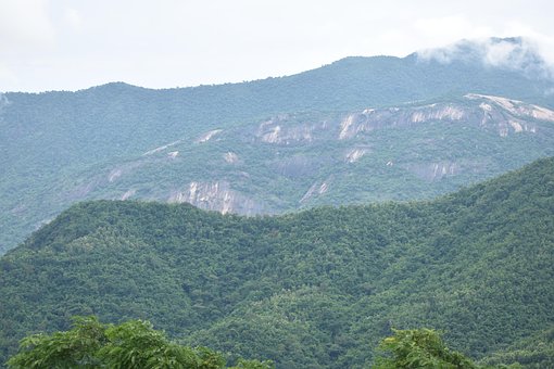 Free View Point Direction photo and picture