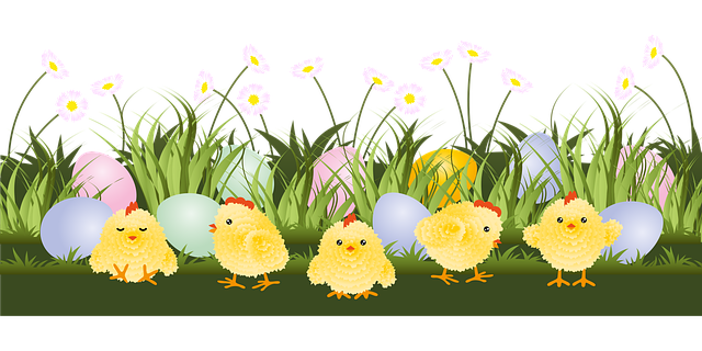 Free chicken easter eggs vector