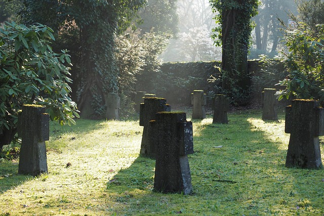 Free Cross Graveyard photo and picture