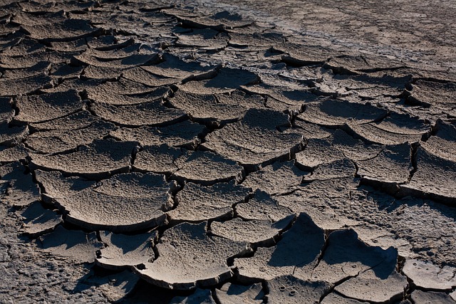 Free Texture Cracks photo and picture