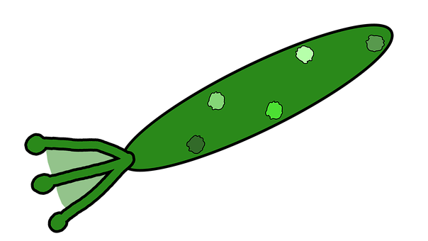 Froskelår, Grønn, Frosk, Pasta