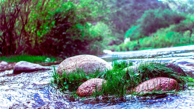 Free River Outdoors photo and picture