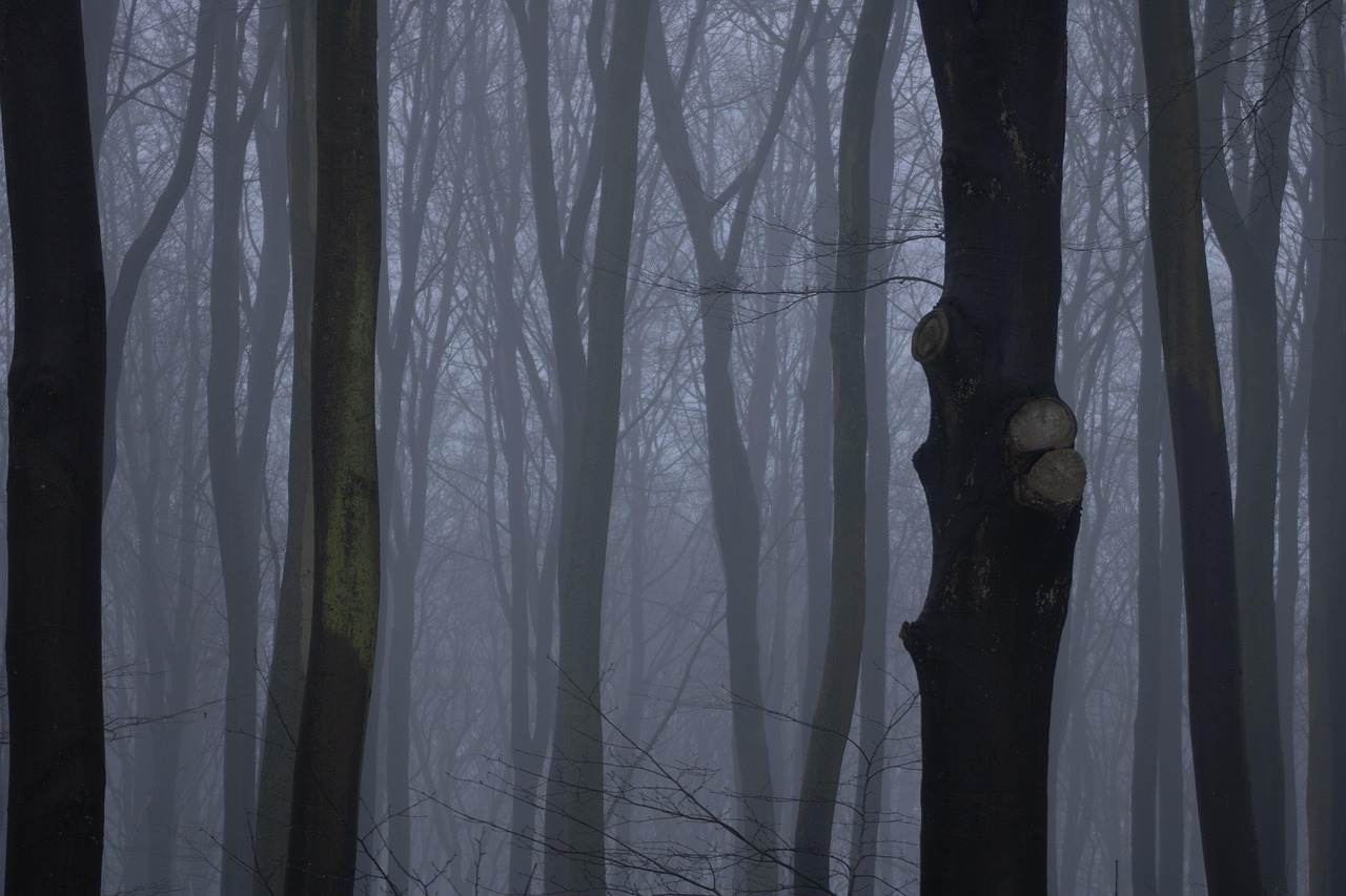 Trees - free online jigsaw puzzle photo