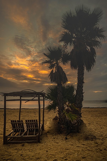 Solnedgang, Strand, Kyst, Solopgang