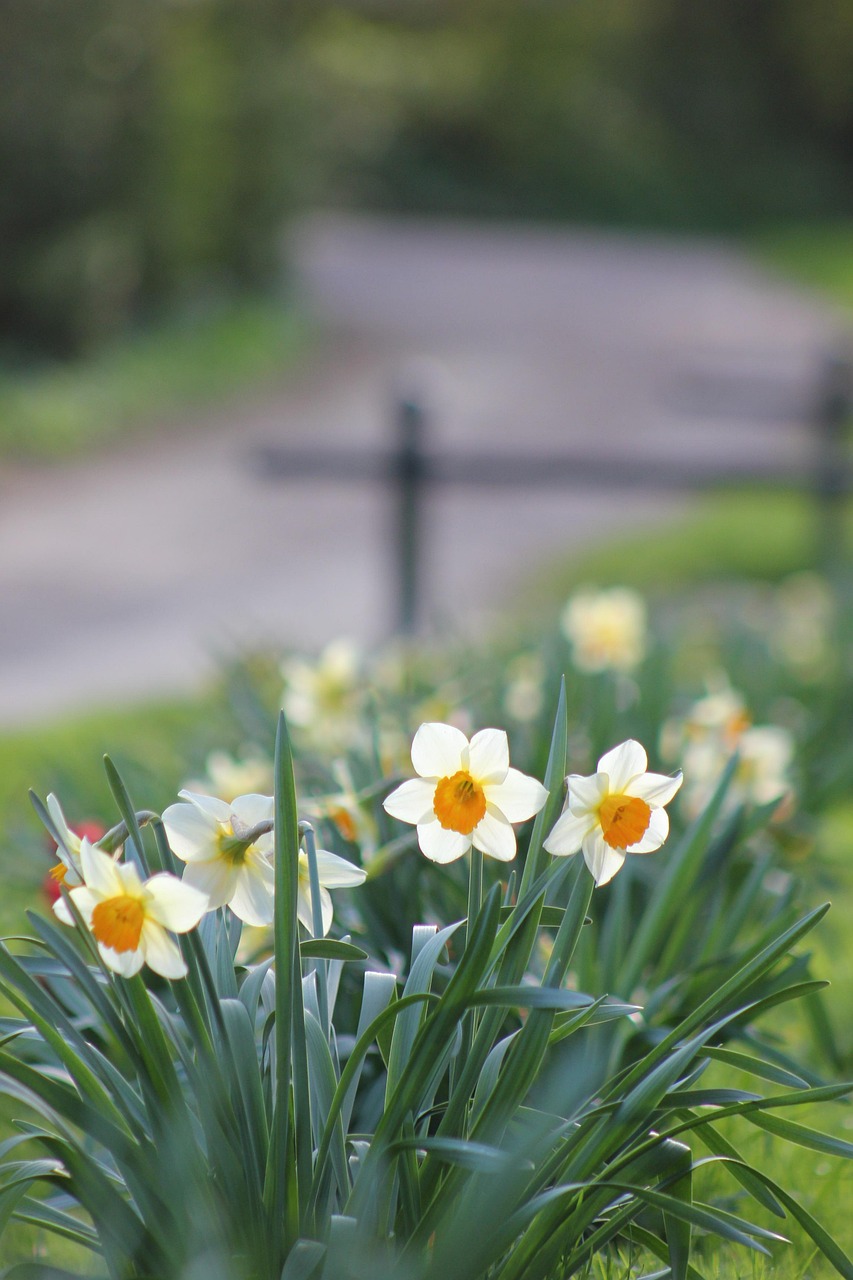Melody Jane Puppenhaus-Blumen: Narzissen & Polyanthus Im Boden | Gartenzubehör Im Maßstab 1:12