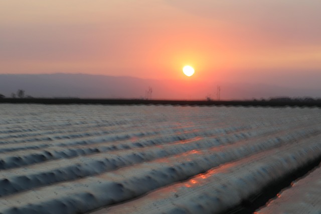 Free Farm Sunrise photo and picture