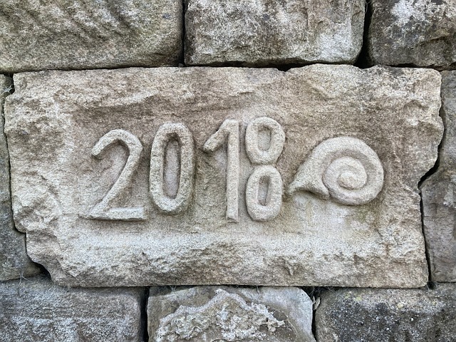Free Year Snail photo and picture