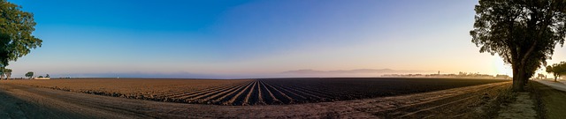 Free Farm Agriculture photo and picture