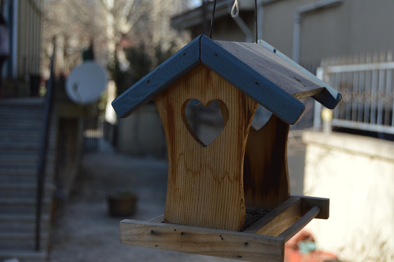 Rumah Burung Kayu Keahlian - Foto gratis di Pixabay - Pixabay