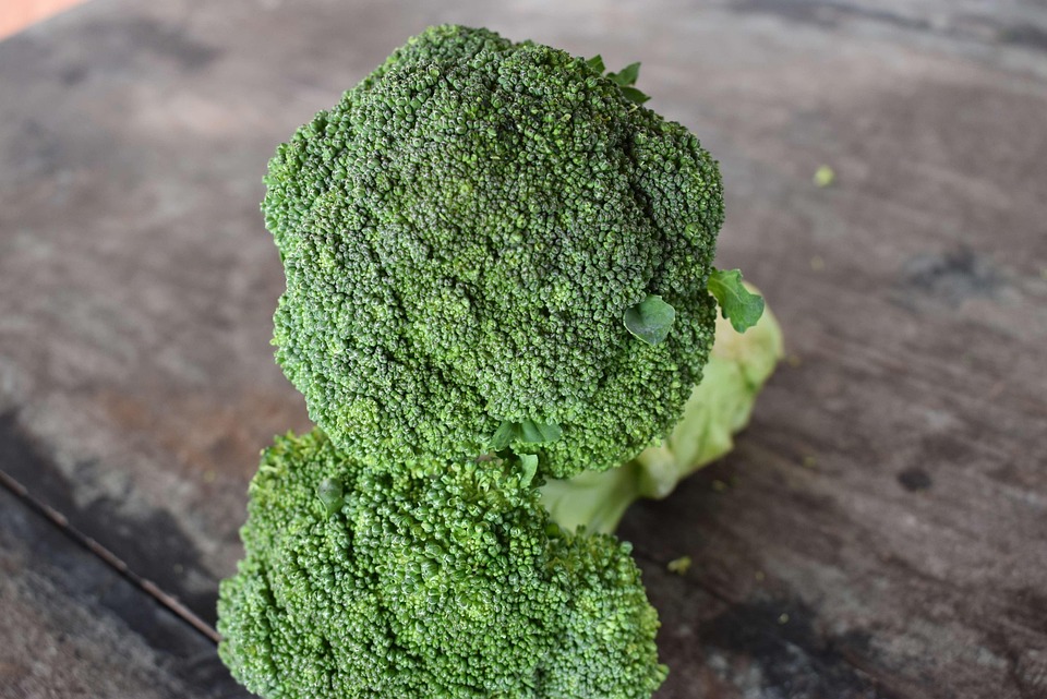 Broccoli Vegetable Food - Free photo on Pixabay - Pixabay