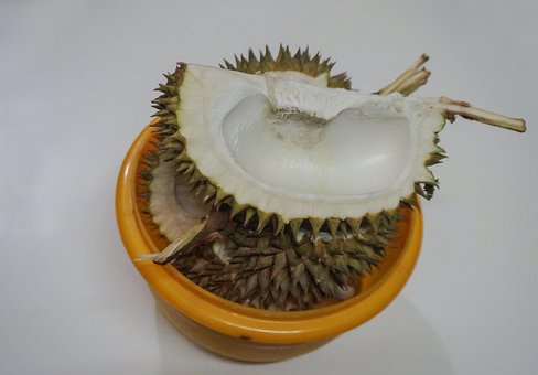 Free Durian Fruit photo and picture