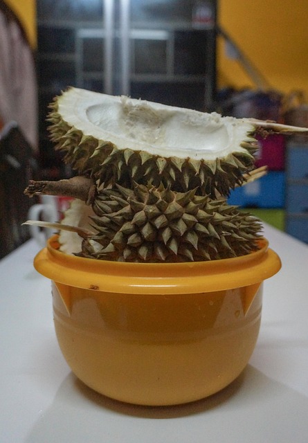 Free Durian Fruit photo and picture