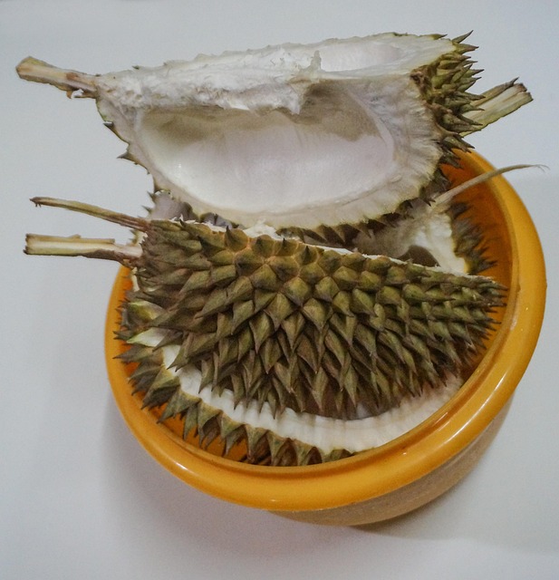 Free Durian Fruit photo and picture