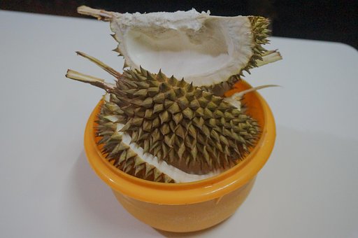Free Durian Fruit photo and picture