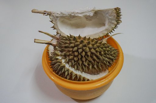 Free Durian Fruit photo and picture