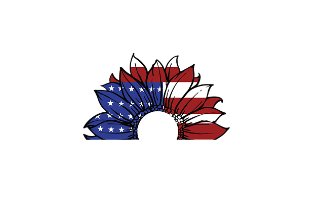 Free us flag flower half sunshine illustration