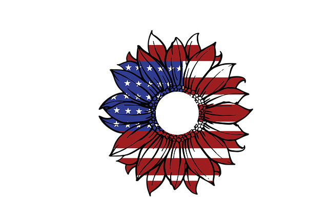 Free us flag flower sunshine illustration