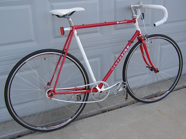 Free Bike Bicycle photo and picture
