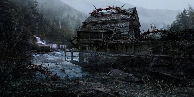 Free Creepy Forest photo and picture