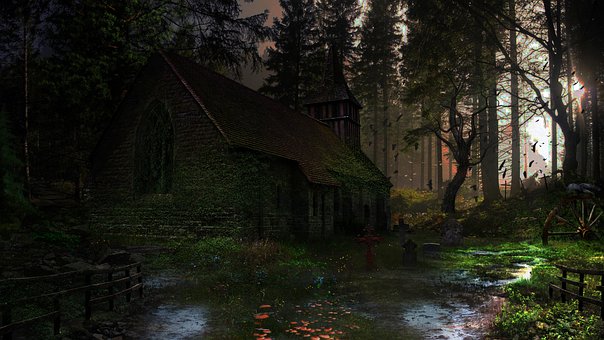 Free Magic Forest photo and picture