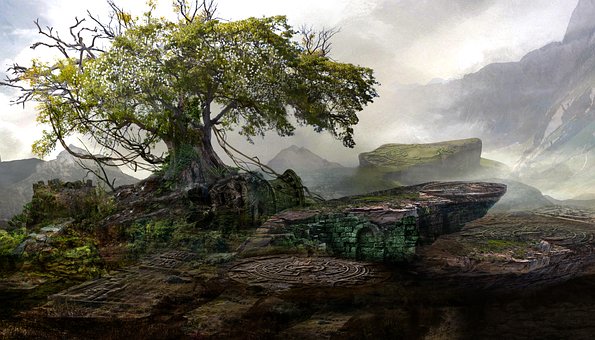 Free Nature Tree photo and picture
