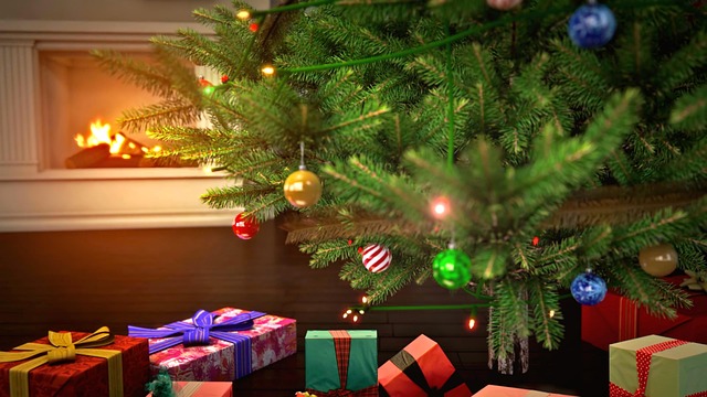 Free Christmas Christmas Tree photo and picture