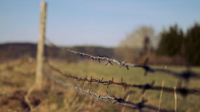 Zaun, Stacheldraht, Saum, Einschränkung