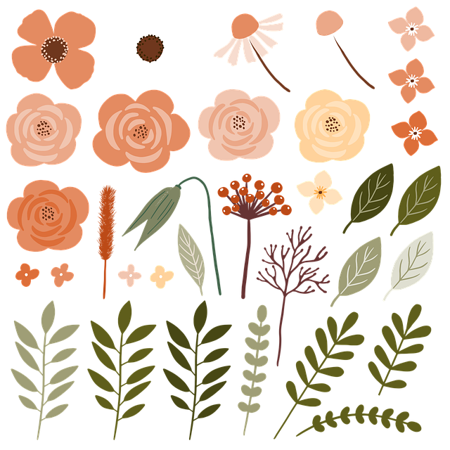 Blomster, Rose, Natur, Elementer
