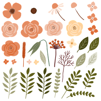 Free Flowers Rose illustration and picture