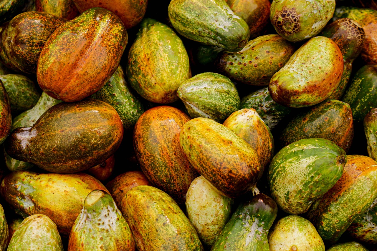 Melon Fruit Food Free photo on Pixabay Pixabay