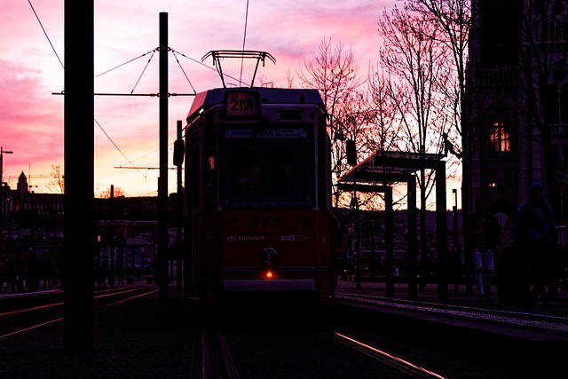 Free Bus Transportation photo and picture