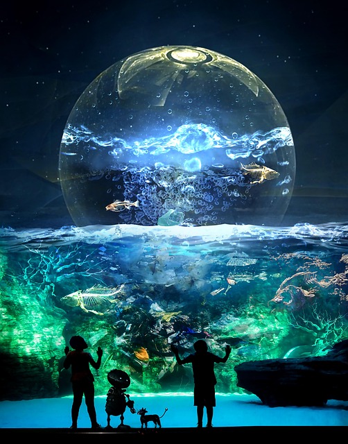 Free Ocean Sea photo and picture